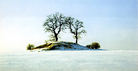 Das Hügelgrab Himmel von Silmenitz im Winter